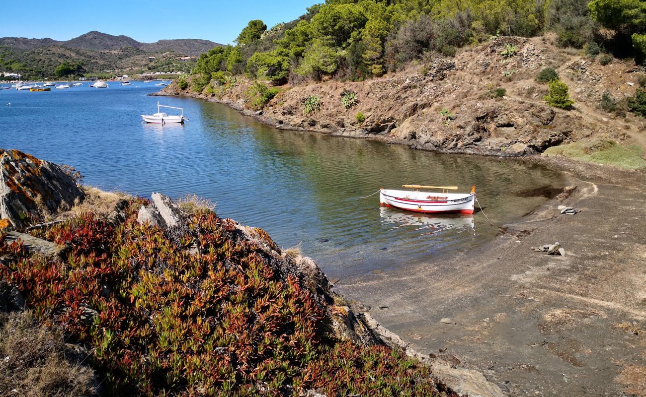 Platja des Calders'in fotoğrafı taşlı kum yüzey ile