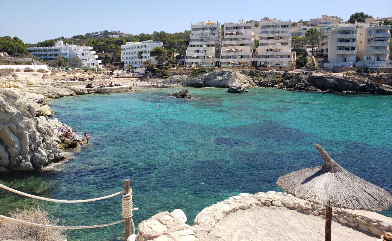 Platja Cala Blanca'in fotoğrafı parlak kum yüzey ile