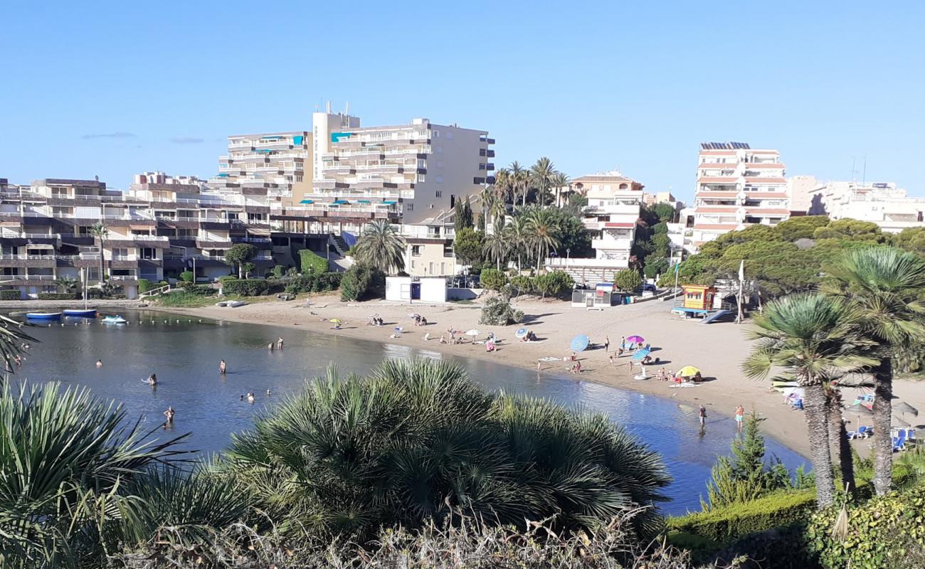 Cala del Pino'in fotoğrafı parlak kum yüzey ile