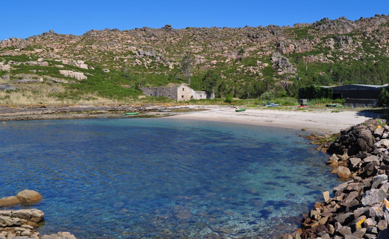 Praia de Canelinas'in fotoğrafı açık bej kum yüzey ile