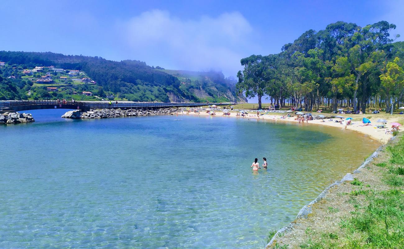 Playa del Puntal'in fotoğrafı açık bej kum yüzey ile