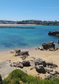 Cuchia