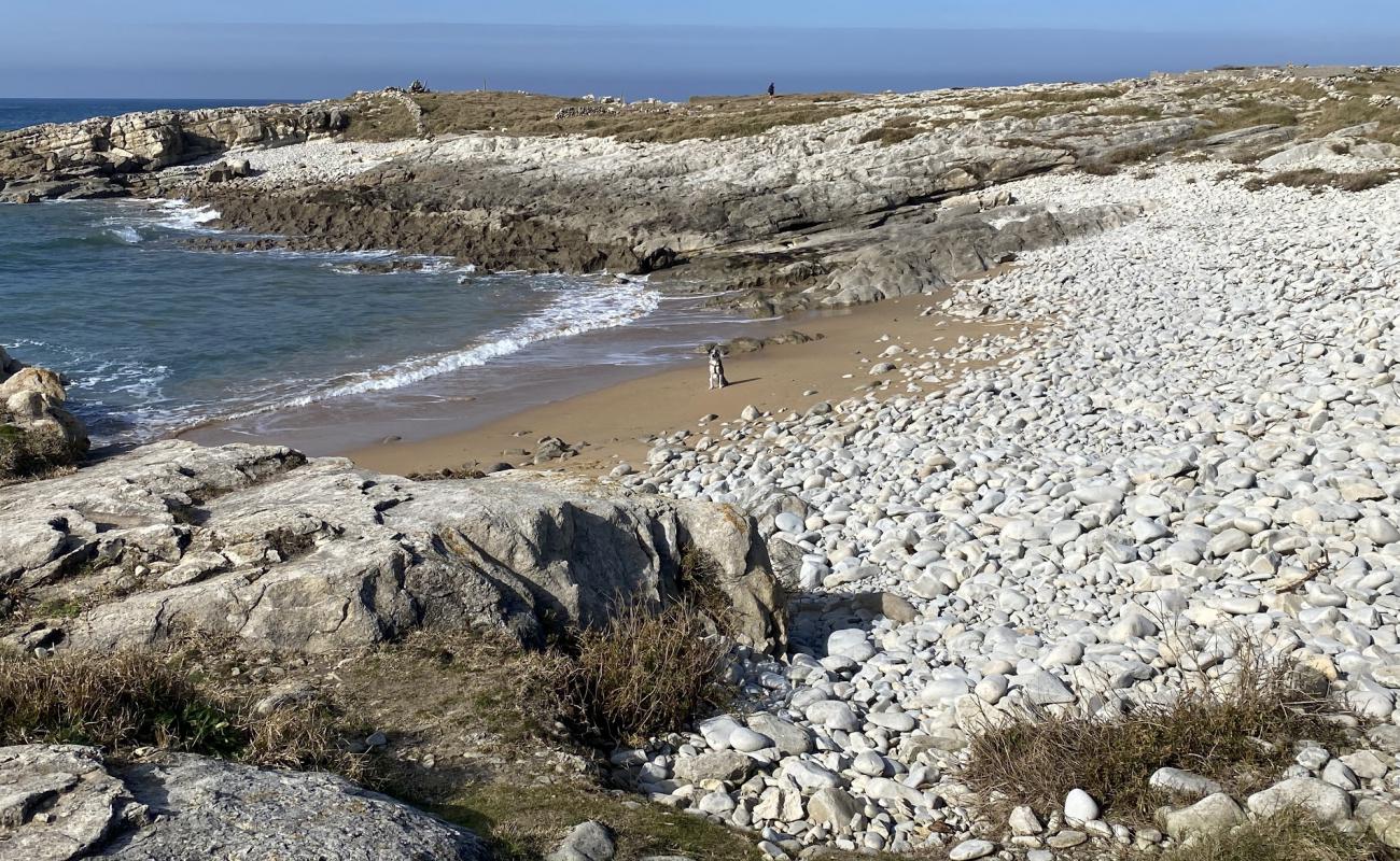 Playa Rosamunda'in fotoğrafı bej çakıl yüzey ile