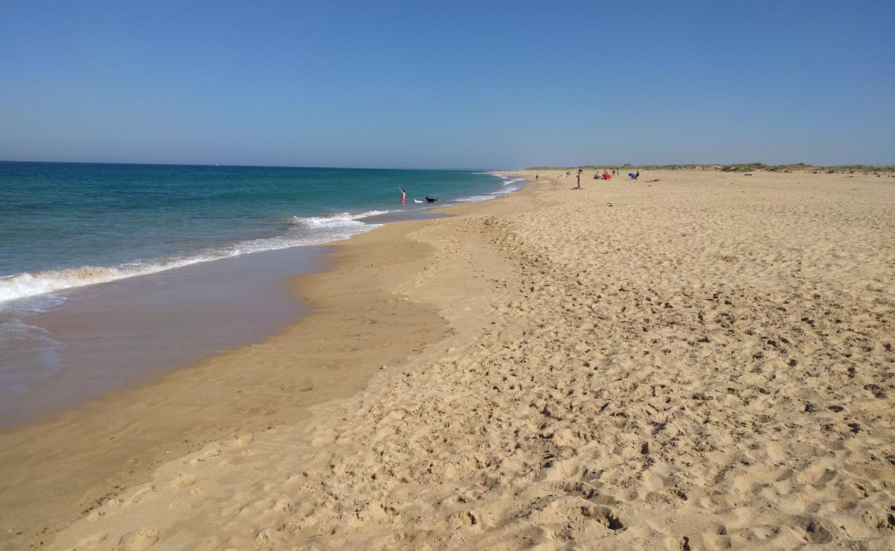 Playa Mangueta'in fotoğrafı parlak kum yüzey ile