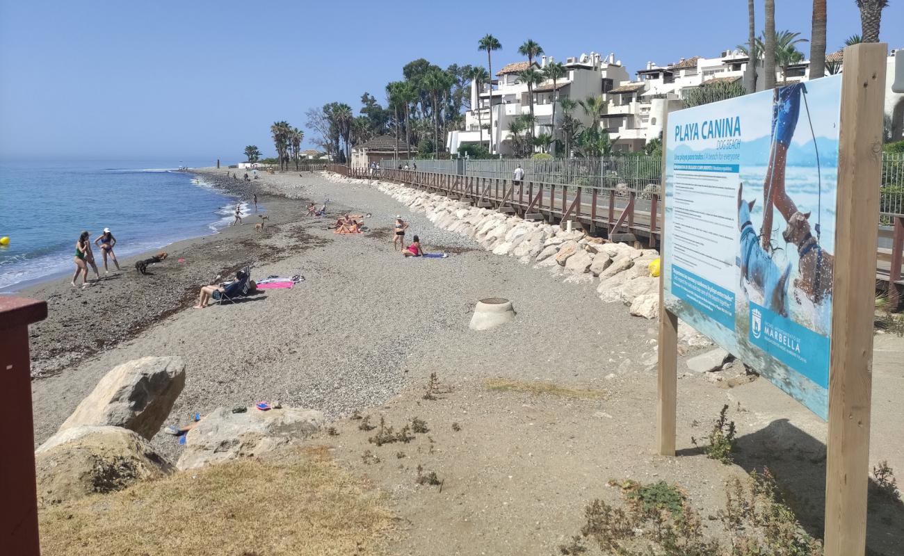 Playa Canina Ventura del Mar'in fotoğrafı taşlı kum yüzey ile