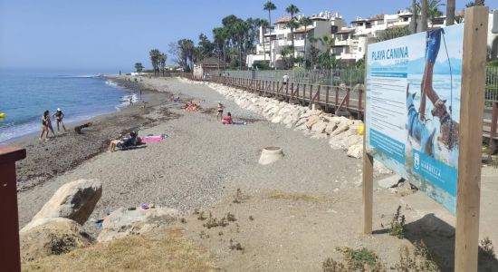 Playa Canina Ventura del Mar