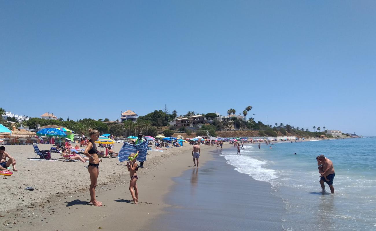 Playa de las Buganvillas'in fotoğrafı açık bej kum yüzey ile
