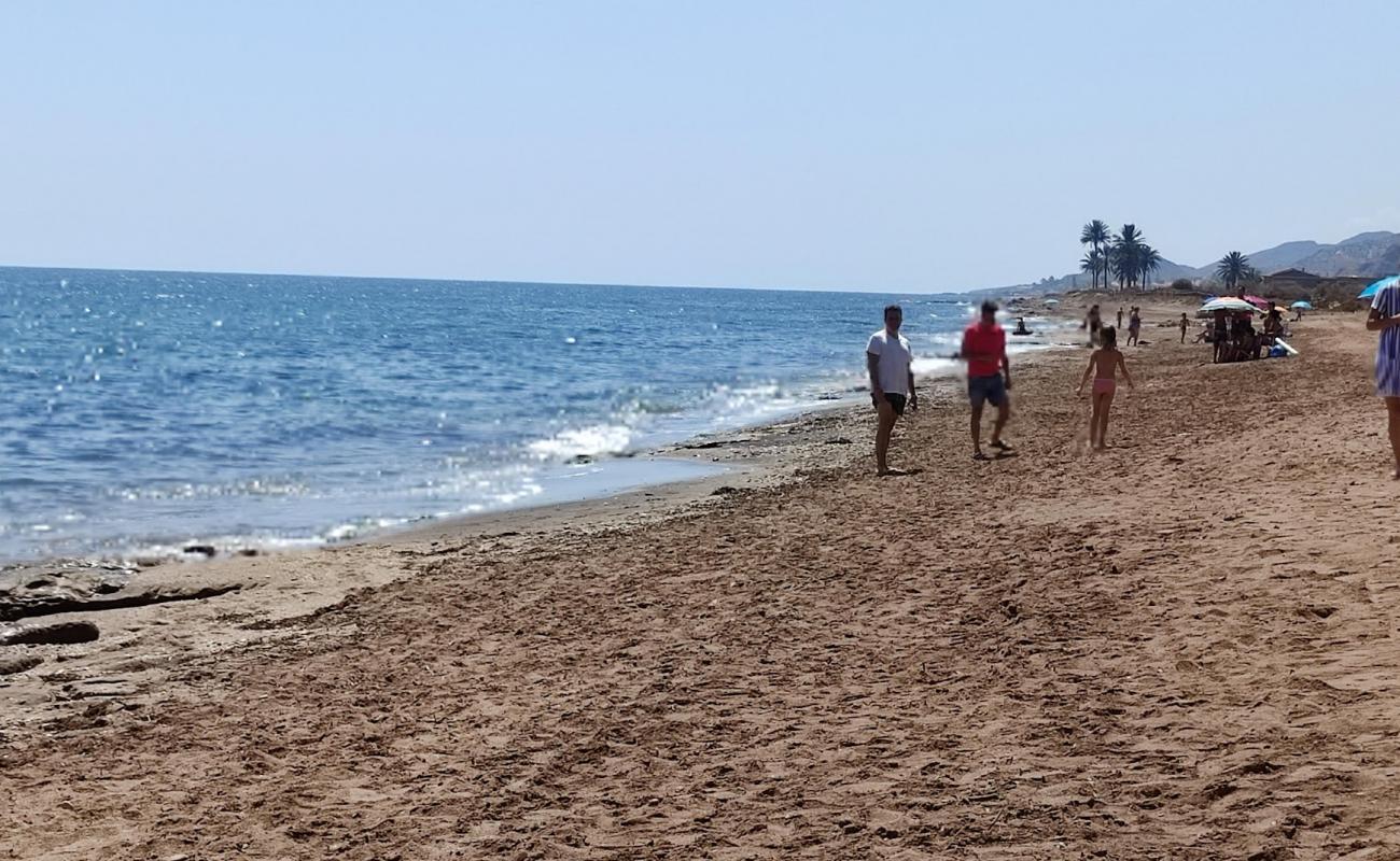 Playa la Entrevista'in fotoğrafı parlak kum yüzey ile