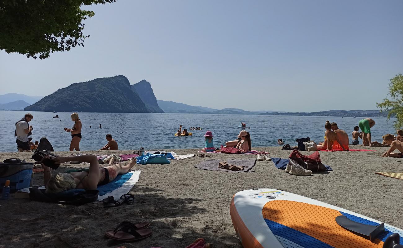 Vitznau Beach'in fotoğrafı hafif ince çakıl taş yüzey ile