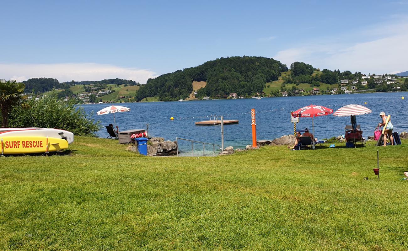 Badi Hergiswil Beach'in fotoğrafı çim yüzey ile