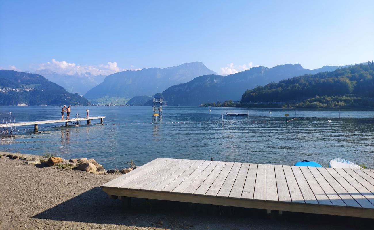 Lido Horw'in fotoğrafı çim yüzey ile