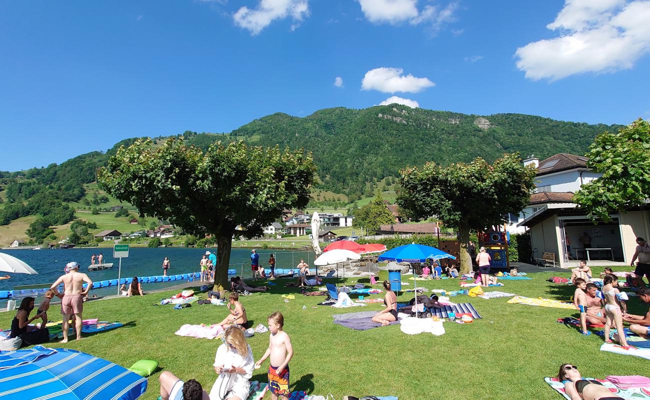 Seebad Arth Beach'in fotoğrafı beton kaplı yüzey yüzey ile