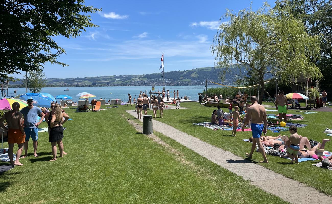 Strandbad Huenenberg'in fotoğrafı çim yüzey ile