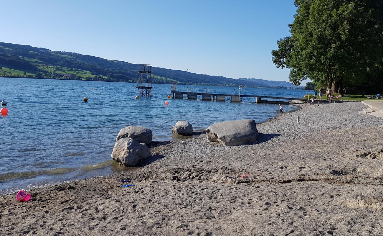 Seebad Baldegg'in fotoğrafı çim yüzey ile