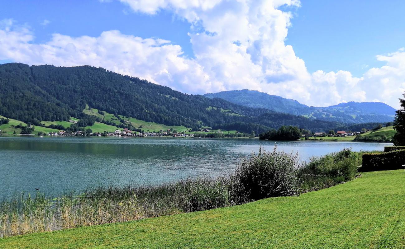 Naasstrasse Strand'in fotoğrafı çim yüzey ile