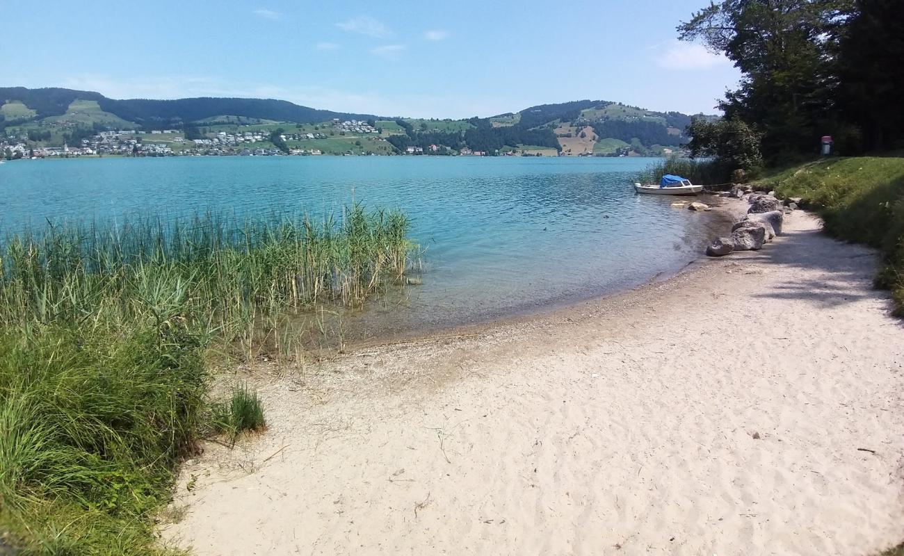 Bergwald Beach'in fotoğrafı açık bej kum yüzey ile