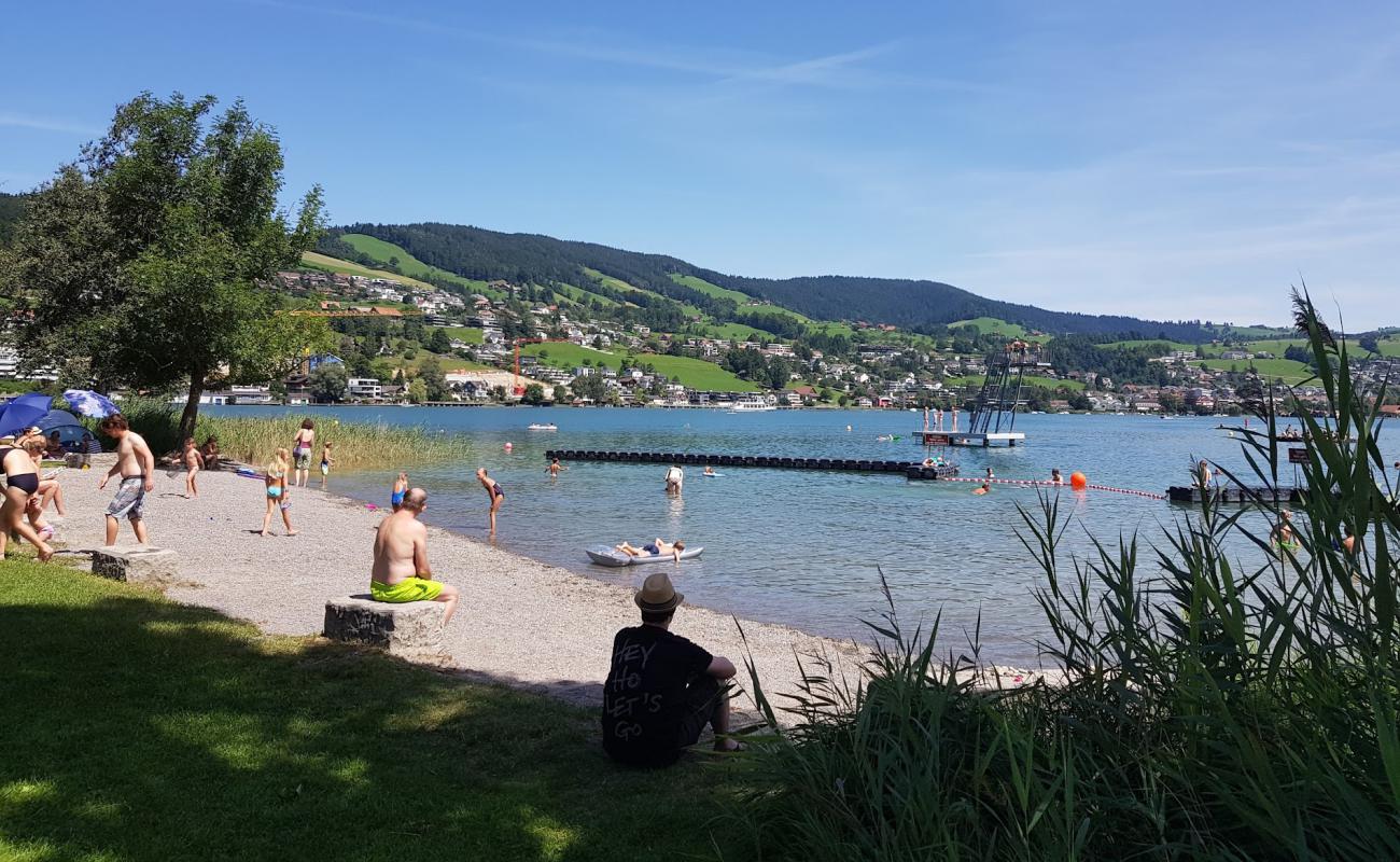 Strandbad Lido Unterageri'in fotoğrafı çim yüzey ile