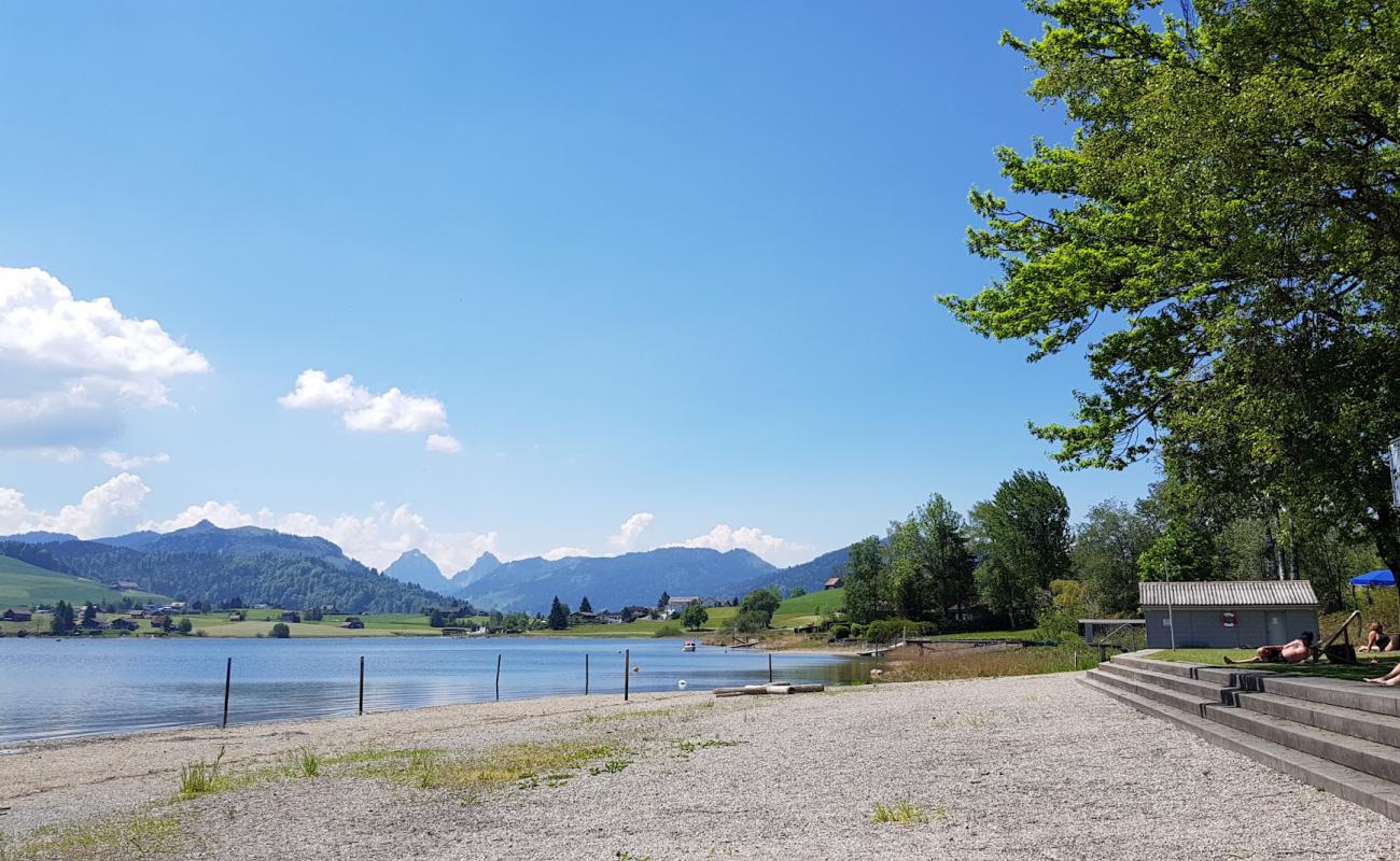 Einsiedeln Beach'in fotoğrafı çim yüzey ile