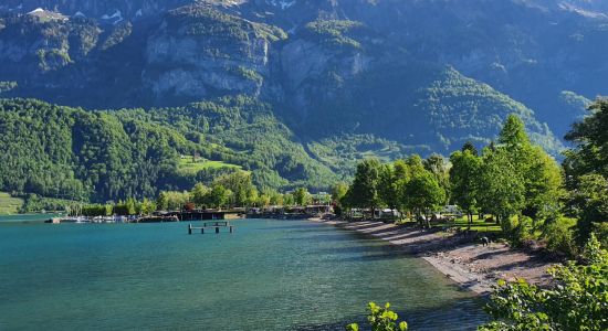 Güney Walenstadt Plajı