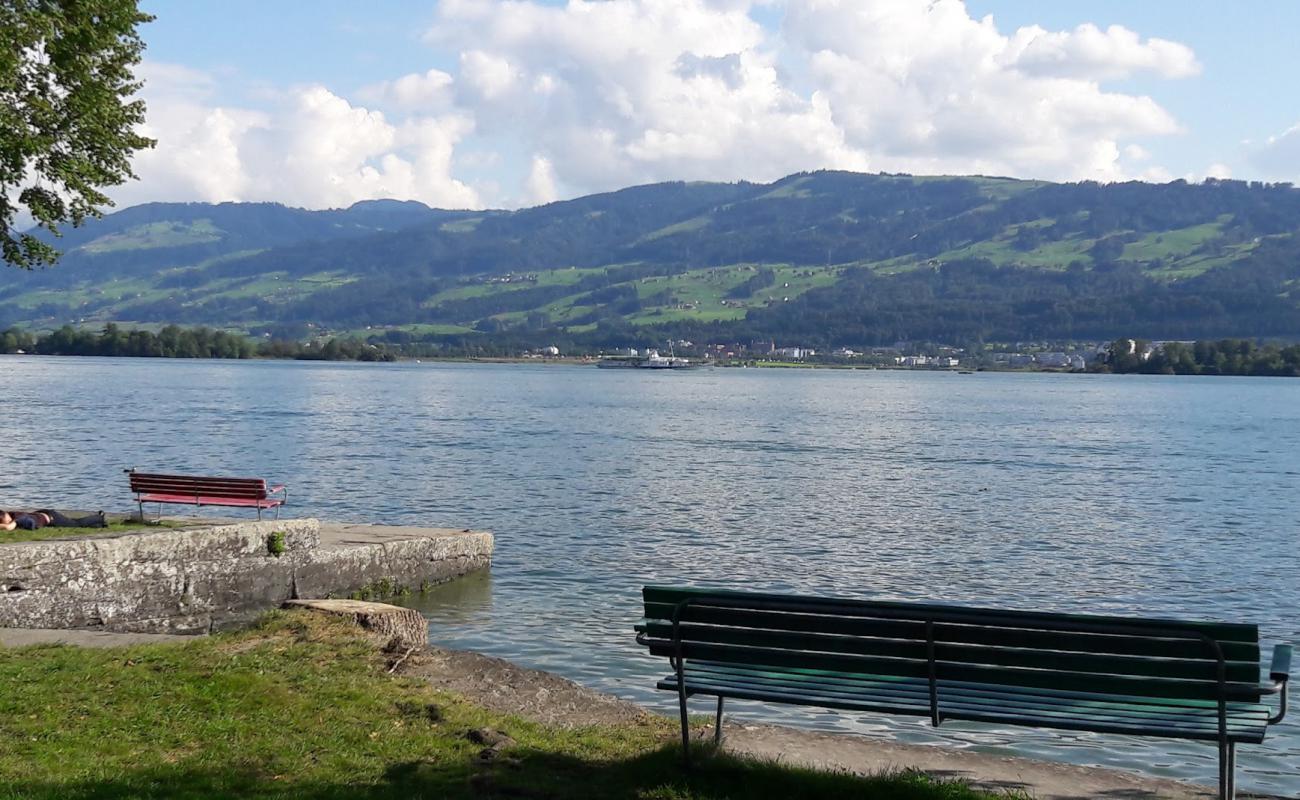 Schirmensee Strand'in fotoğrafı beton kapak yüzey ile