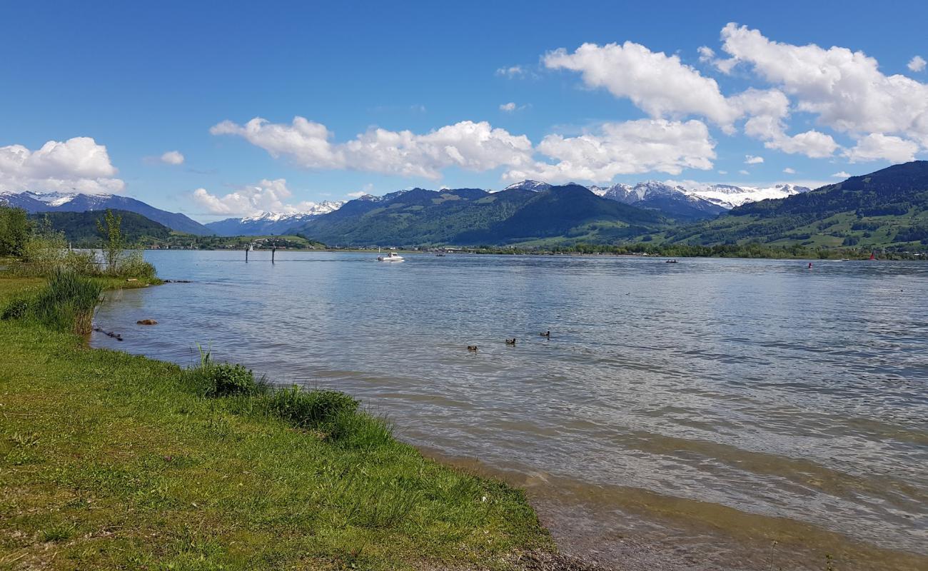 Strandbad Stampf'in fotoğrafı çim yüzey ile