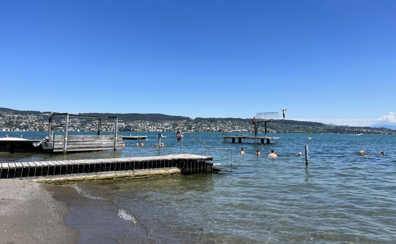 Strandbad Wadenswil'in fotoğrafı çim yüzey ile