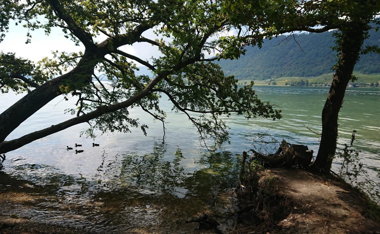 Ile St-Pierre Plage'in fotoğrafı parlak kum yüzey ile