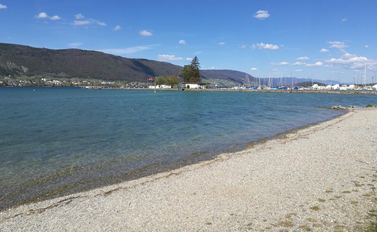 Erlach Strand'in fotoğrafı gri ince çakıl taş yüzey ile