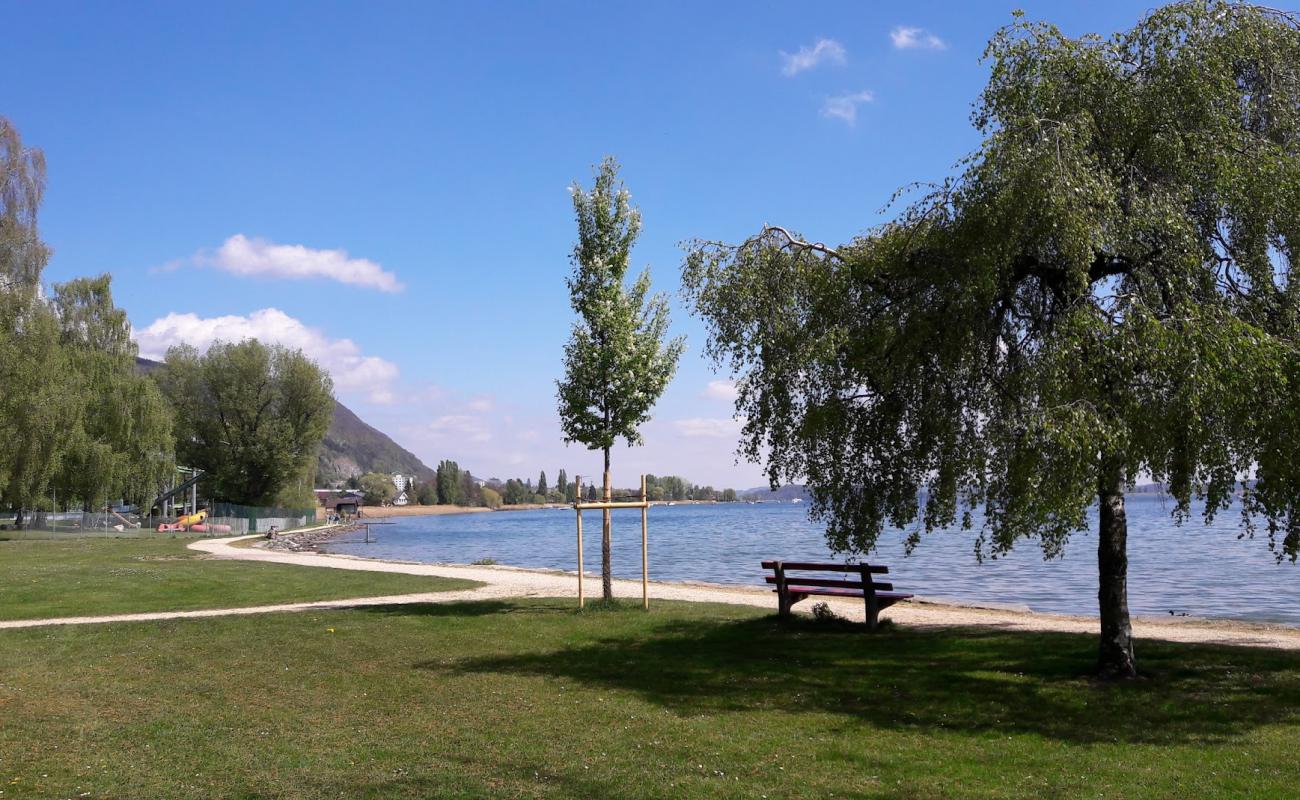 Piscine du Landeron'in fotoğrafı çim yüzey ile