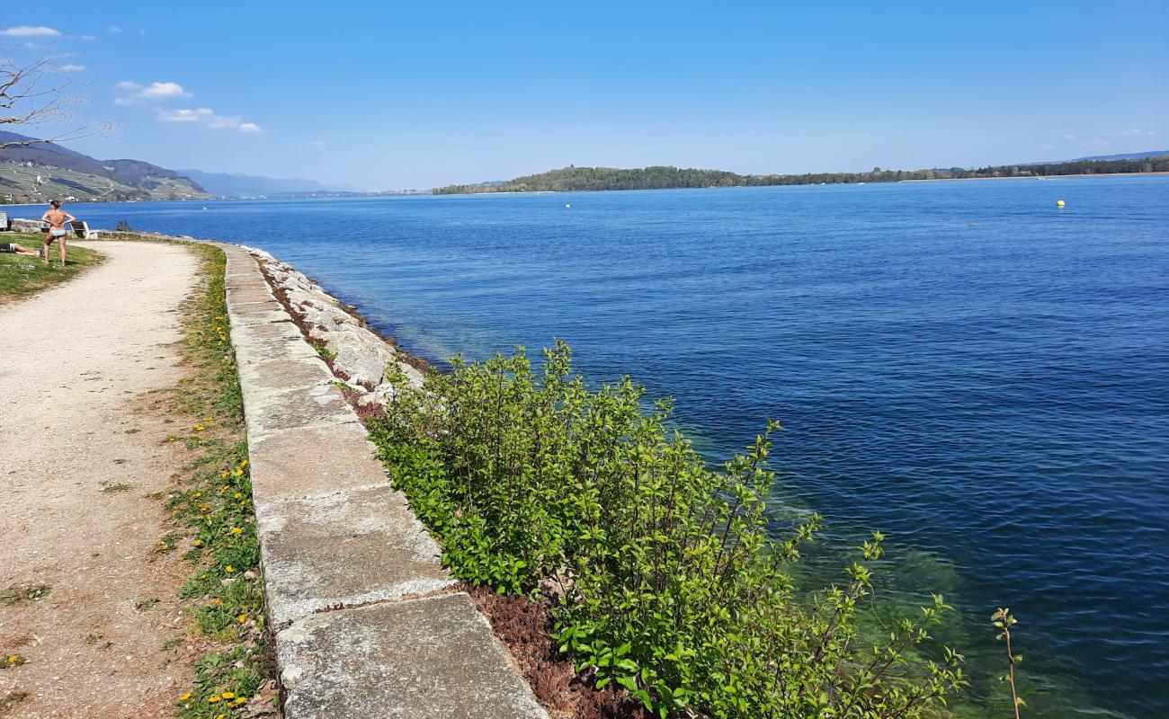 Plage Saint-Joux'in fotoğrafı çim yüzey ile