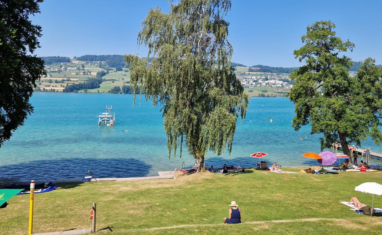 Strandbad Seerose'in fotoğrafı çim yüzey ile