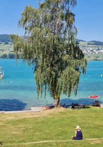 Aargau Kantonu