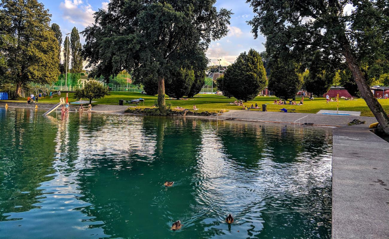 Strandbad Beinwil'in fotoğrafı çim yüzey ile