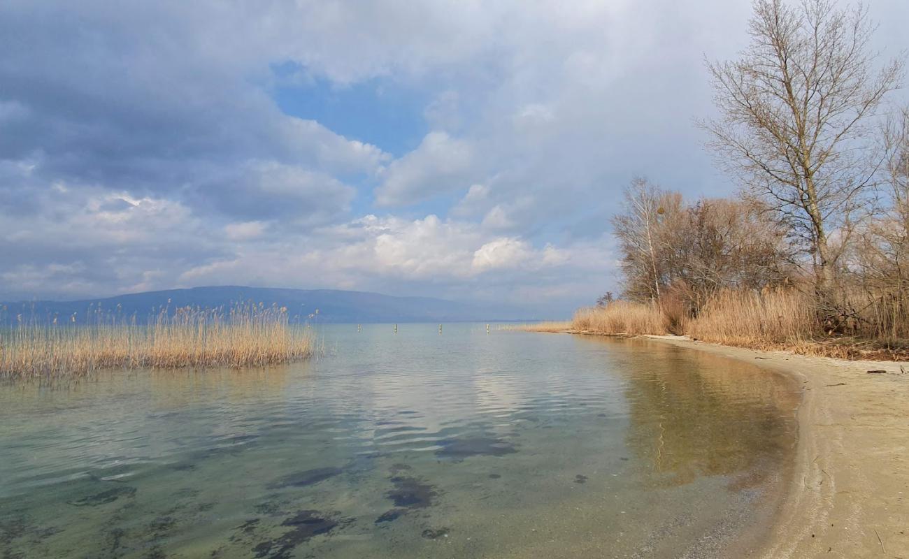 Plage communale publique de Chabrey'in fotoğrafı parlak kum yüzey ile