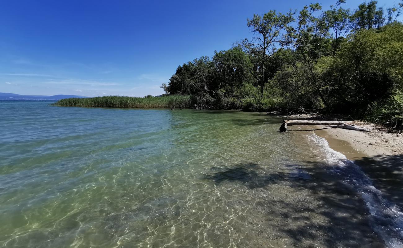 Plage de la Petite Amerique'in fotoğrafı açık bej kum yüzey ile