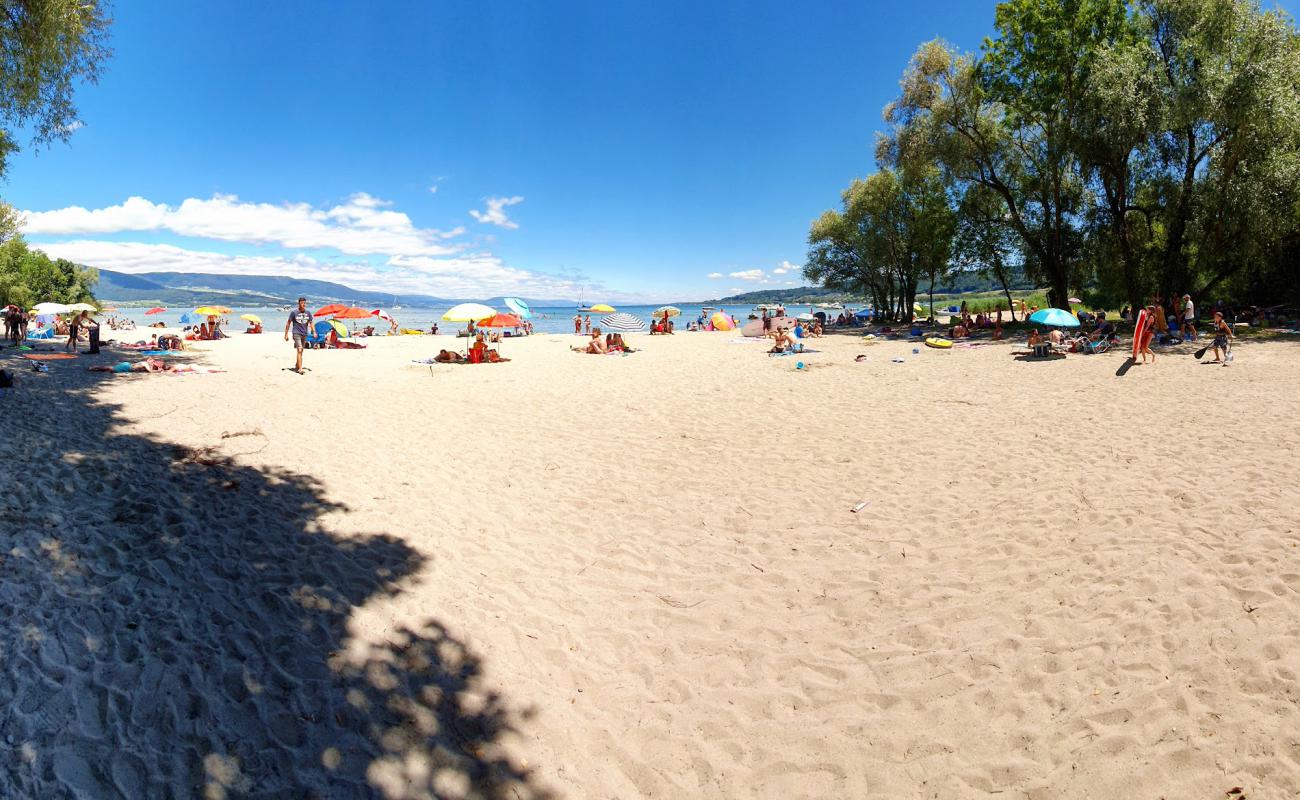 Plage de Goncerut'in fotoğrafı açık bej kum yüzey ile