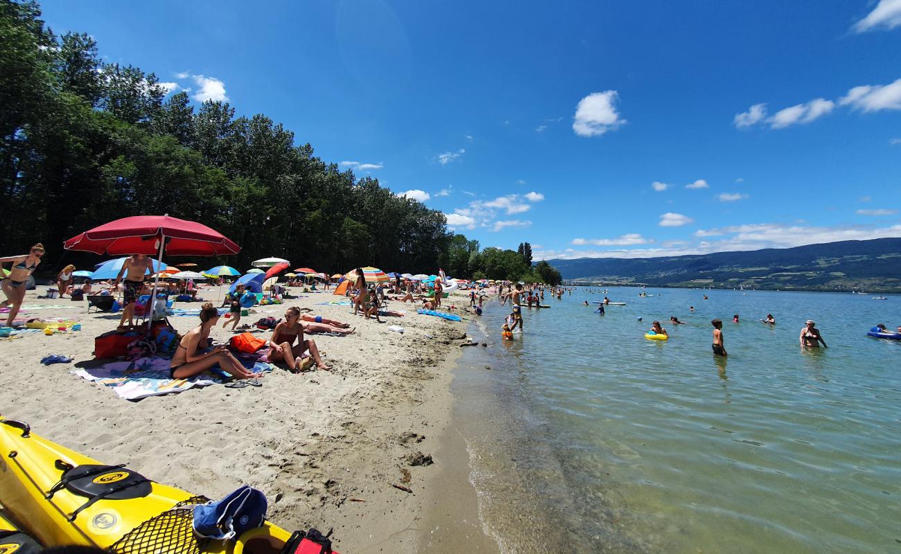 Plage des Pins d'Yvonand'in fotoğrafı parlak kum yüzey ile