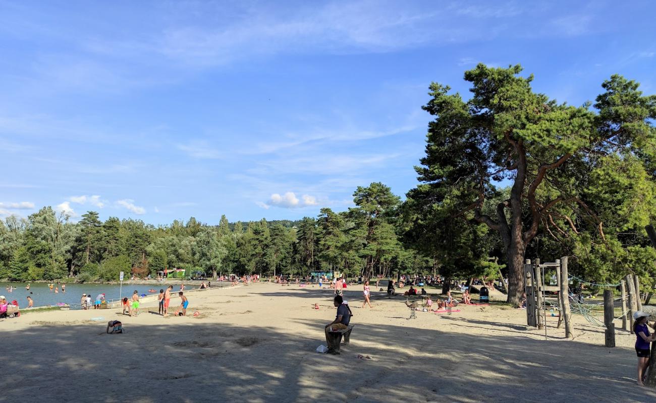 Plage d'Yverdon-les-Bains'in fotoğrafı açık bej kum yüzey ile