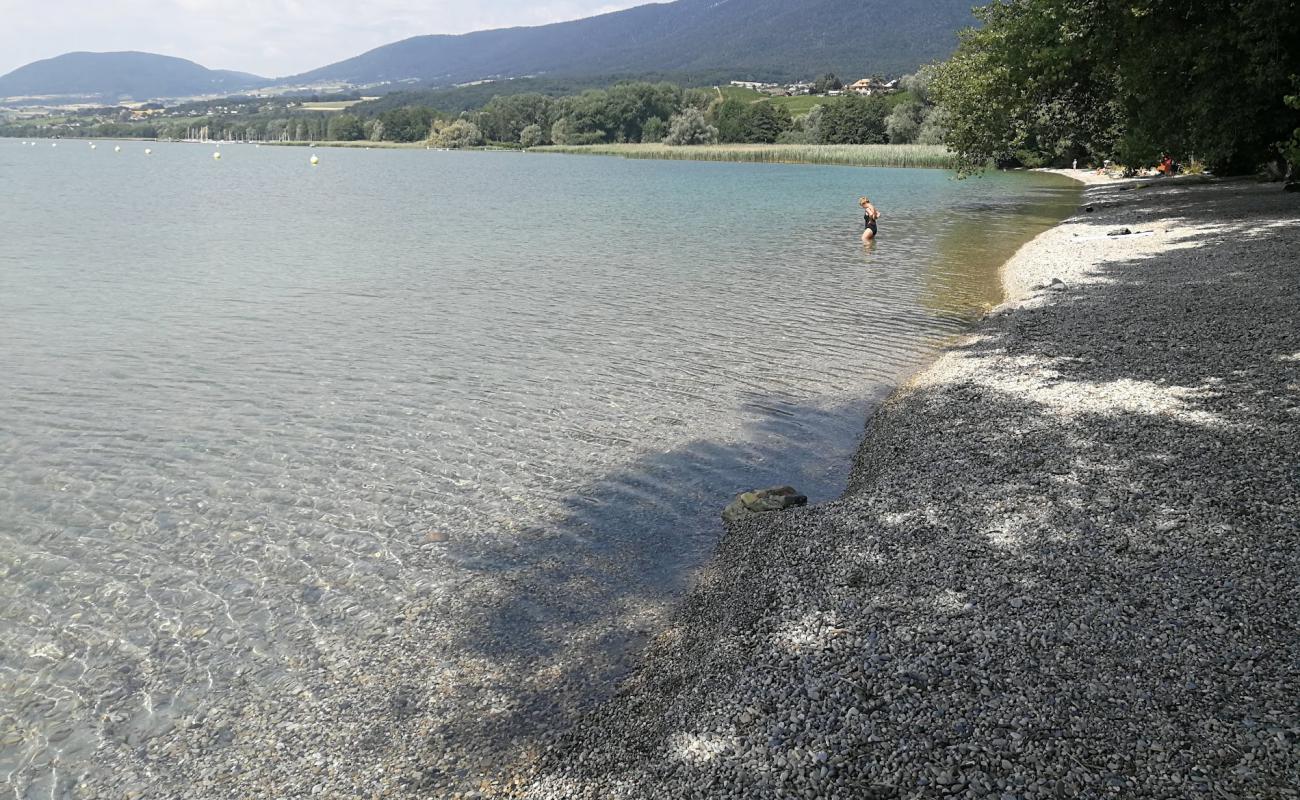 Plage de la Pointe du Grain'in fotoğrafı gri ince çakıl taş yüzey ile