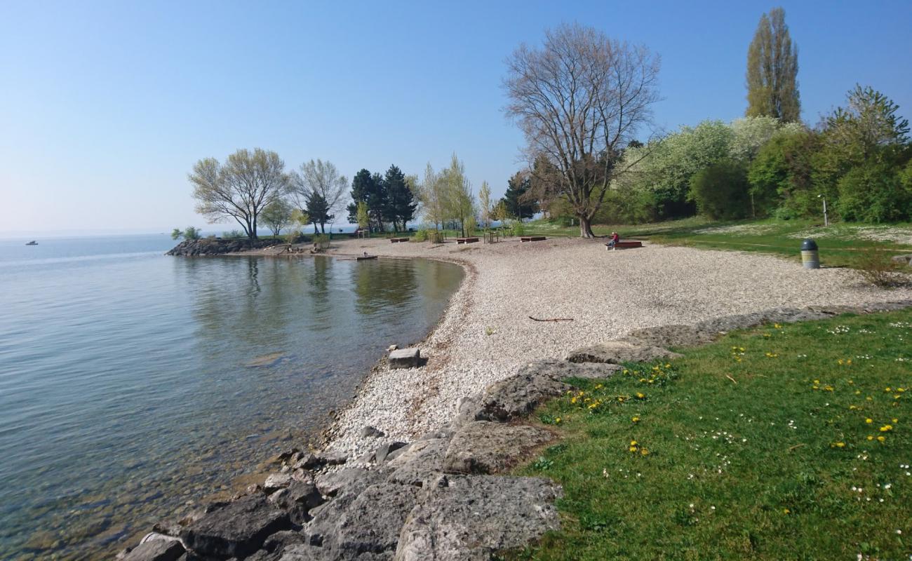 Plage de Serriere'in fotoğrafı gri çakıl taşı yüzey ile