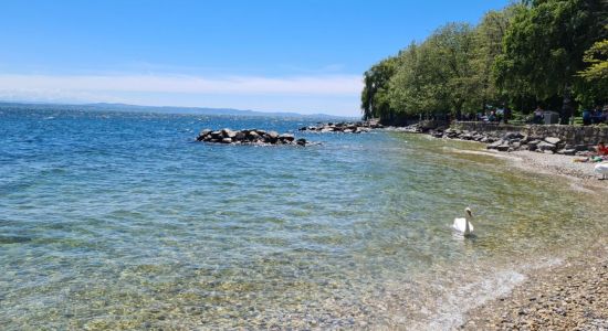 Plage des Jeunes Rives