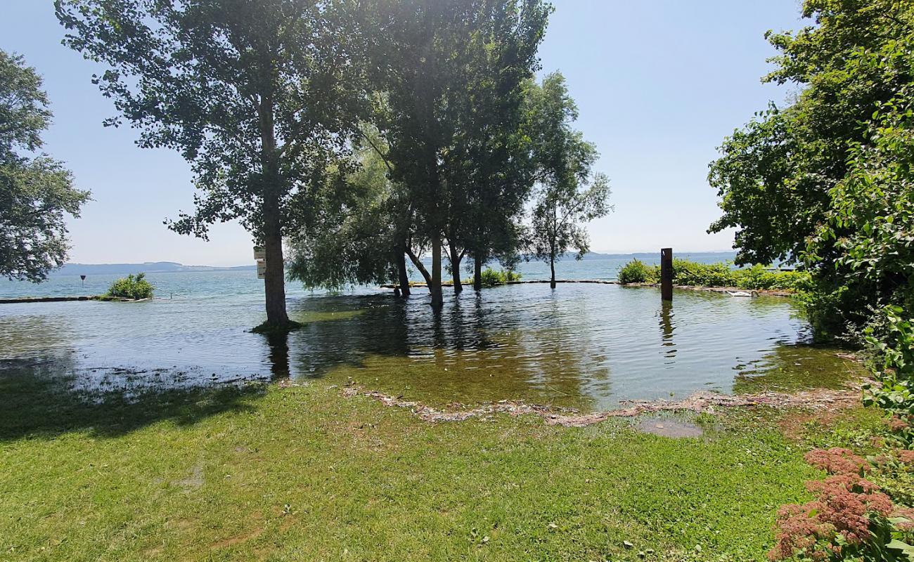 Plage de Monruz'in fotoğrafı gri çakıl taşı yüzey ile