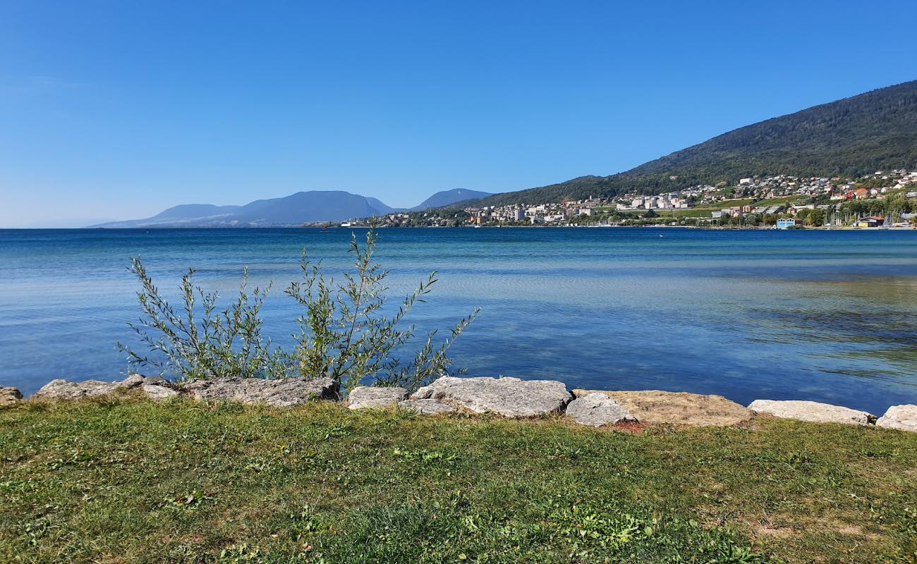 Plage les Indiennes'in fotoğrafı çim yüzey ile