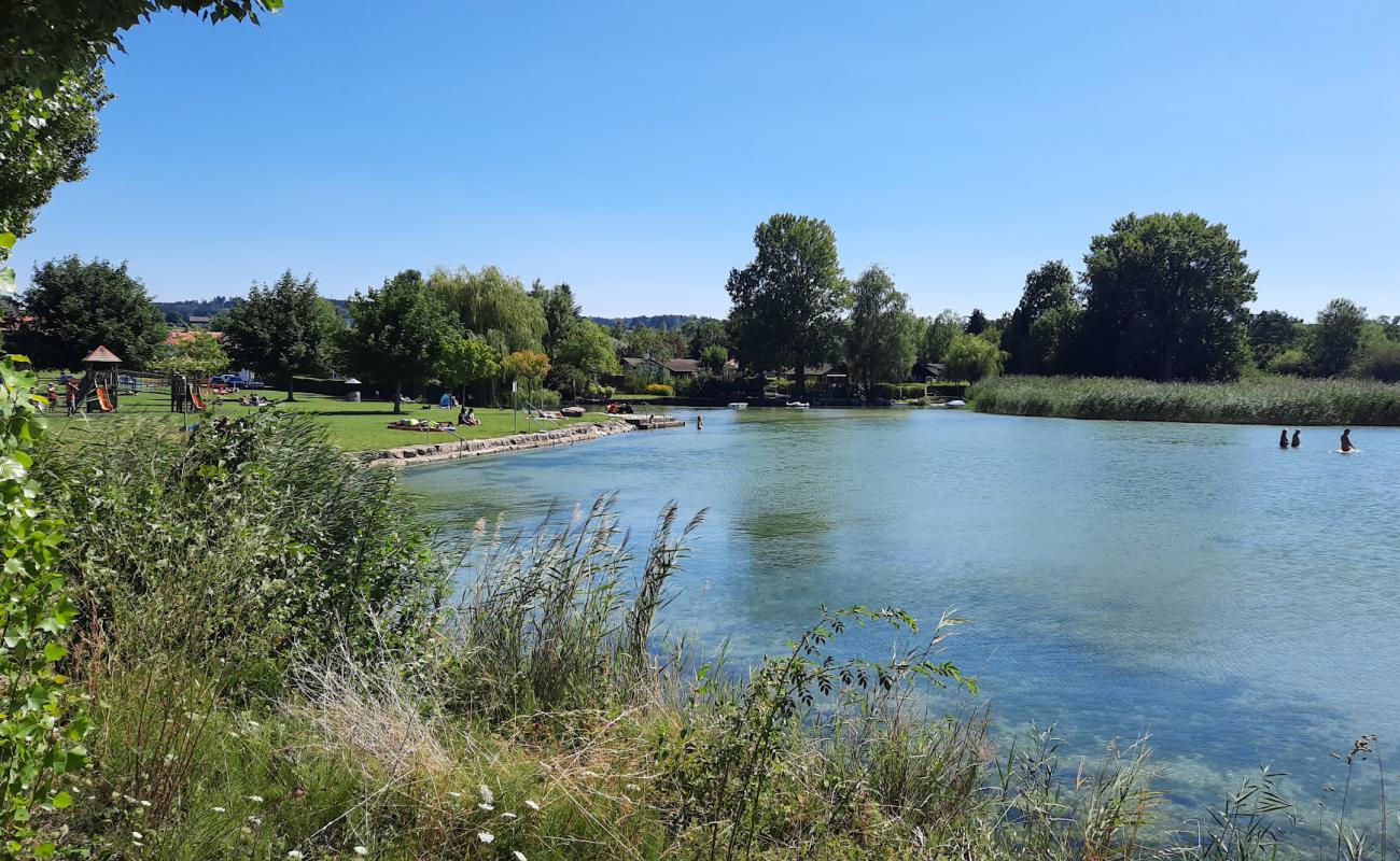 Cudrefin Plage'in fotoğrafı çim yüzey ile