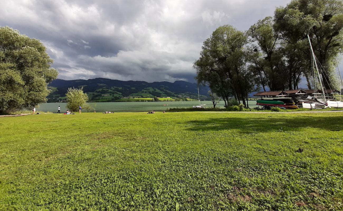 Plage Lac Gruyere'in fotoğrafı çim yüzey ile