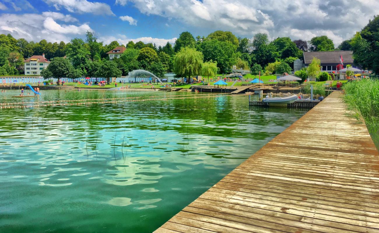 Schwimmbad Murten'in fotoğrafı çim yüzey ile