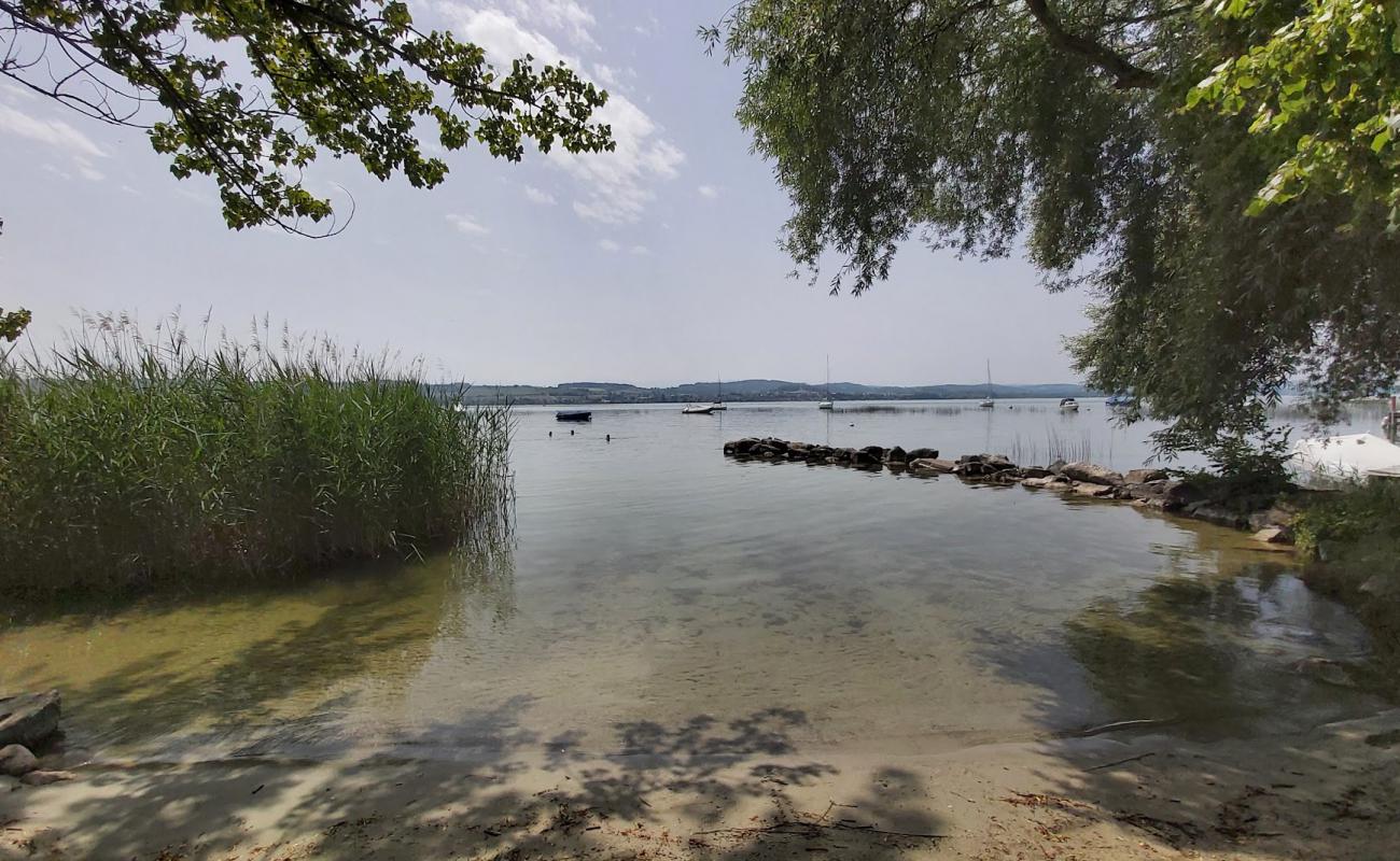 Plage de Sugiez'in fotoğrafı çim yüzey ile