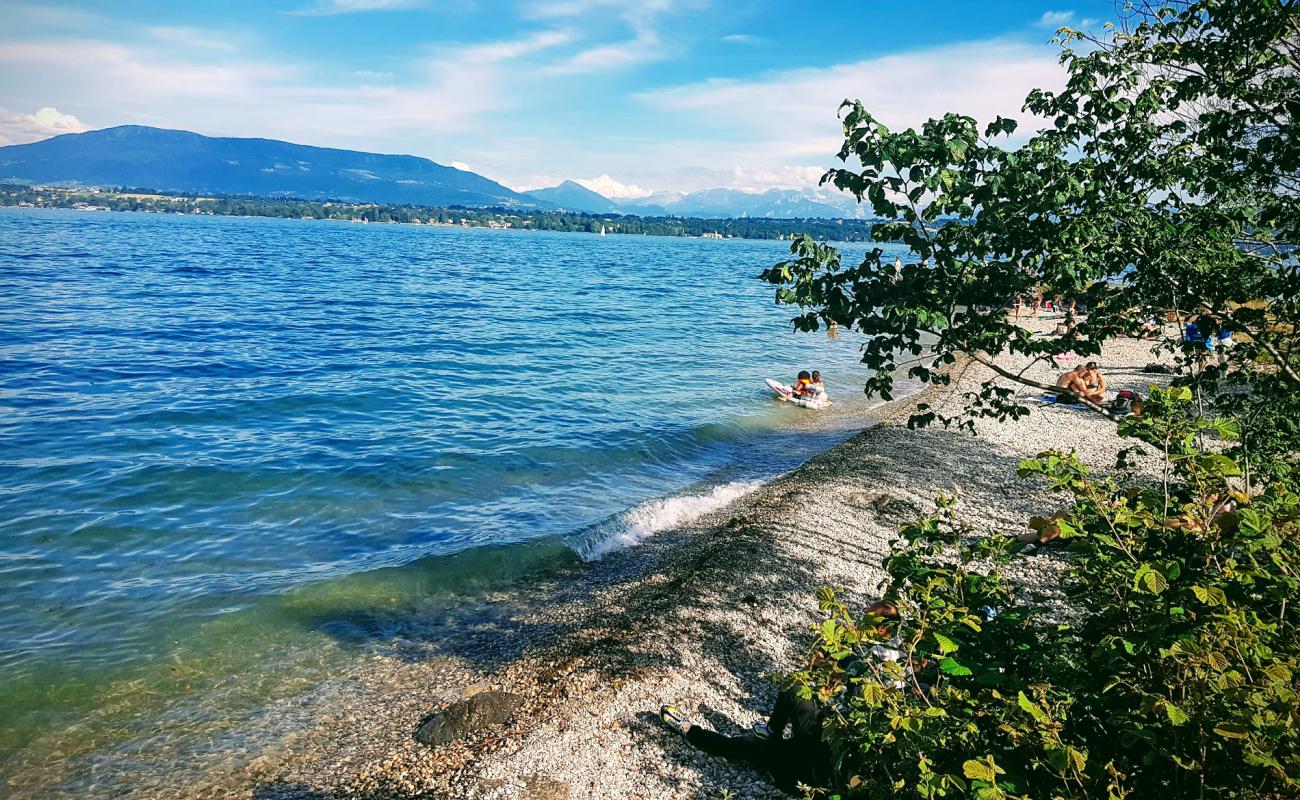 Plage de la Becassine'in fotoğrafı küçük gri çakıllar yüzey ile
