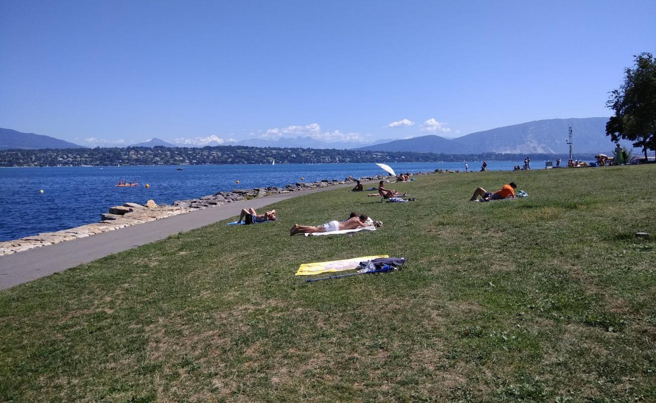 Plage du Vengeron'in fotoğrafı çim yüzey ile