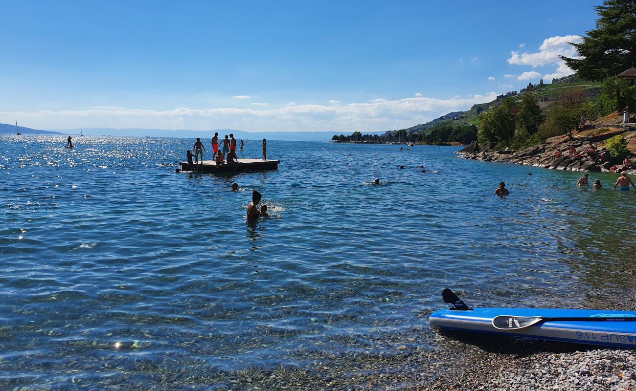 Plage de la Grotte'in fotoğrafı küçük gri çakıllar yüzey ile